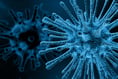 Rise in scarlet fever and chickenpox cases across England