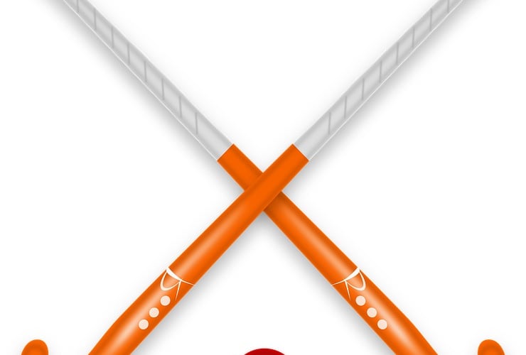 Image representative of the sport hockey