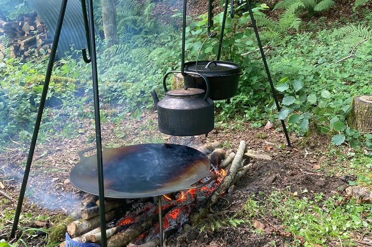 pentreath woodland wellbeing