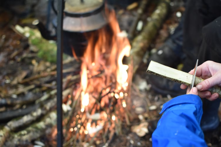 pentreath woodland wellbeing