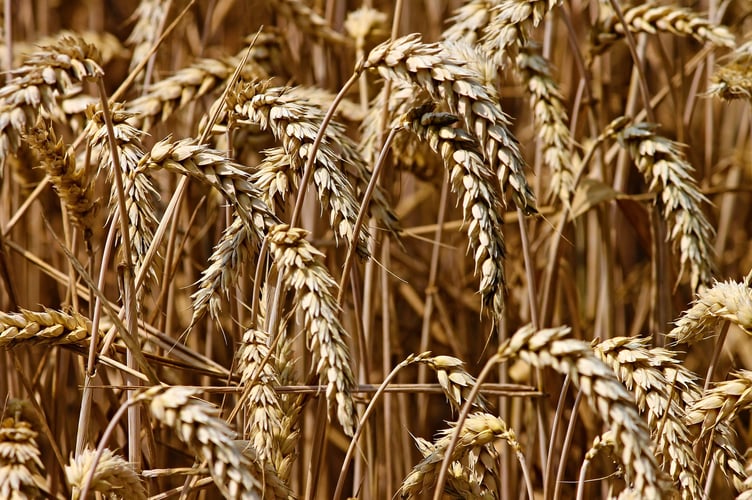Farmers warn country is ‘sleepwalking’ towards food shortages
