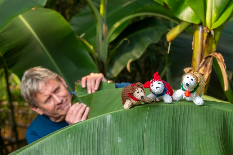 Eden Project's Executive Director Peter Stewart with the knitted WI corgis