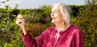 Portlooe lady finds late husband’s wedding ring under an apple tree