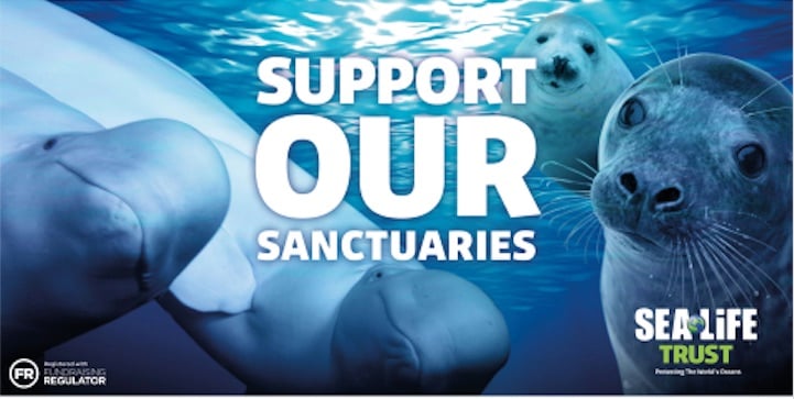 The Seal Life Trust logo