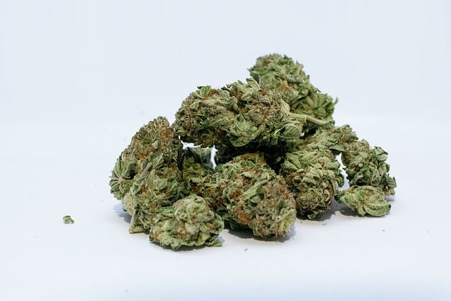 Cannabis stock image