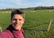 New sheep recording free app is launched