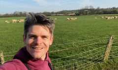 New sheep recording free app is launched