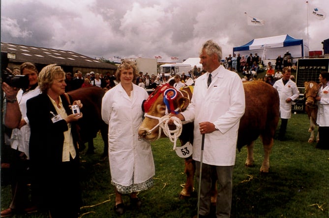 Royal Cornwall Show Prize-winning bull