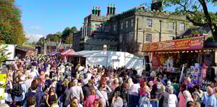 Tavistock Goose Fair to return 