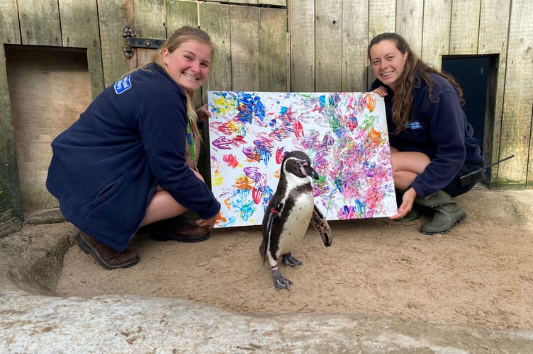 Penguin channels inner artist for Cornish Seal Sanctuary fundraising campaign