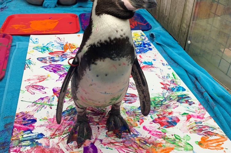  Squidge the penguin