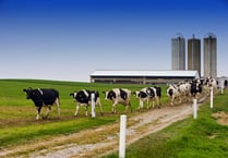 Family farm expands into milk