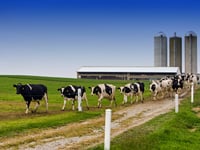 Family farm expands into milk