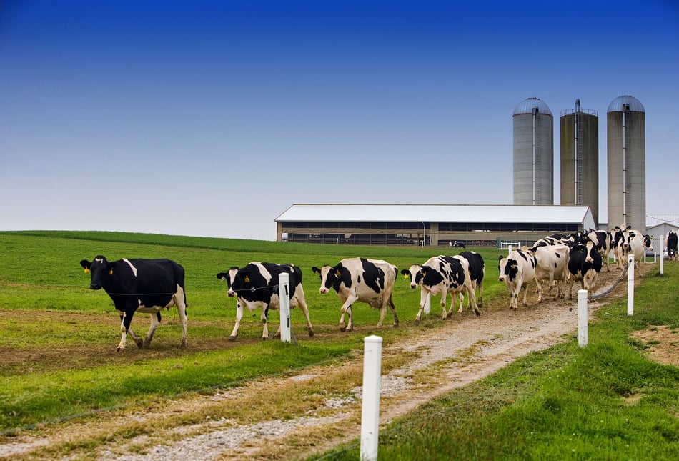 Family farm expands into milk