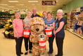 ‘Every little helps’ as Armed Forces charity collects at Tesco stores