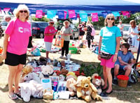 Lions club invite local community to be part of summer fair