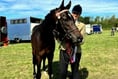Jeff brings home a win at Launceston Show