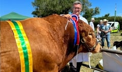 Ashley Rowe comes out on top at Launceston Show