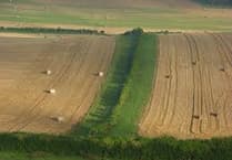 Higher rates and market uncertainty keep buyers cautious