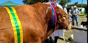 Ashley Rowe comes out on top at Launceston Show