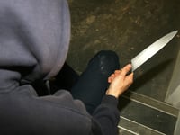 Just a quarter of knife crime offenders in Devon and Cornwall jailed