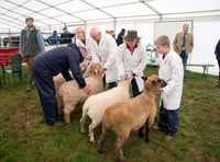 Organisers expect livestock to return for 2025 show