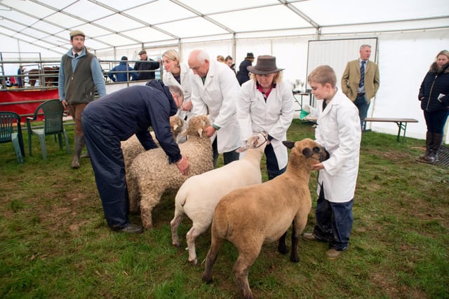 Organisers expect livestock to return for 2025 show