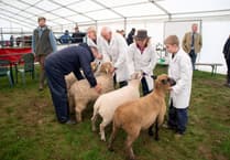 Liskeard Winter Fair is coming to town