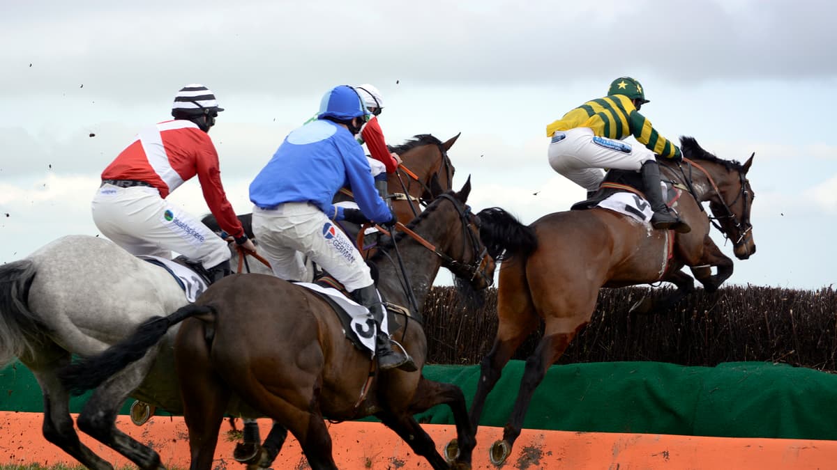 Point to Point to take place at Great Trethew this weekend