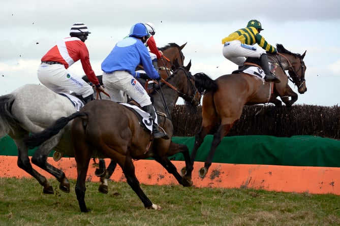 Point to point horse racing at Great Trethew in 2021 
