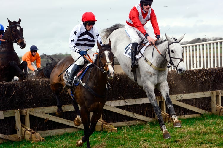 Point to point at Great Trethew in 2021. 