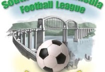 Truro apologise over state of pitch for Liskeard match