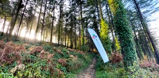 Charity to host woodland adventure day 