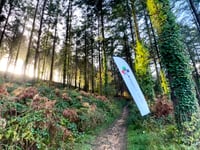 Charity to host woodland adventure day 