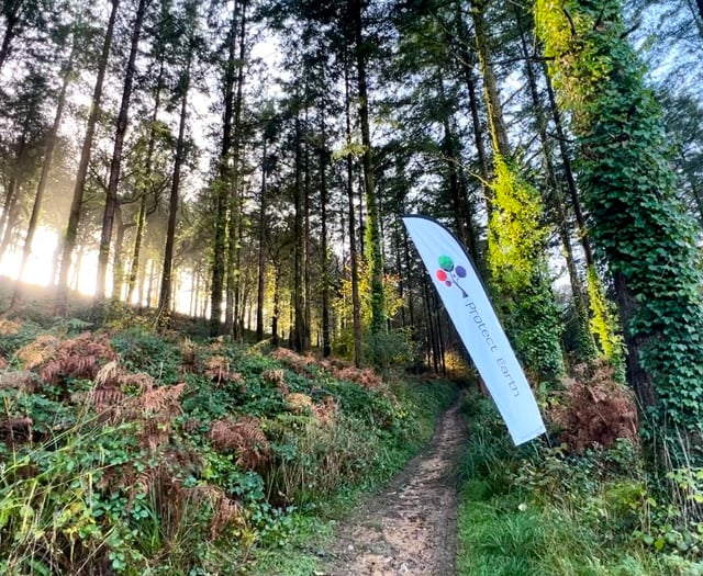 Charity to host woodland adventure day 