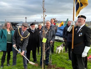 Tree planted by Saltash Royal British Legion in memory of Queen Elizabeth II