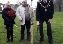 Oak tree planted in Liskeard park in memory of late sovereign