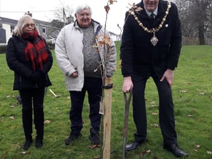 Oak tree planted in Liskeard park in memory of late sovereign
