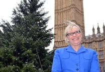 MP puts questions to parliament