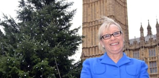 MP puts questions to parliament
