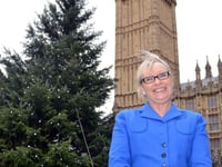 MP puts questions to parliament