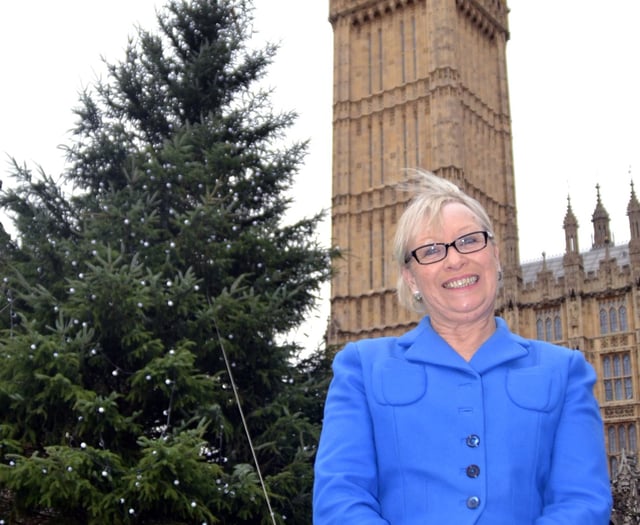 MP puts questions to parliament