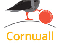 Cornwall Cricket League results from Saturday, June 17