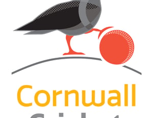 Cornwall Cricket League Preview - Saturday, July 15