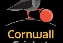 Cornwall CCC promoted to NCCA Western Division One