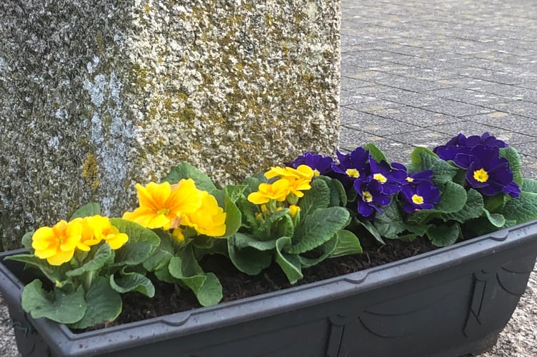 Liskeard in Bloom flowers for Ukraine