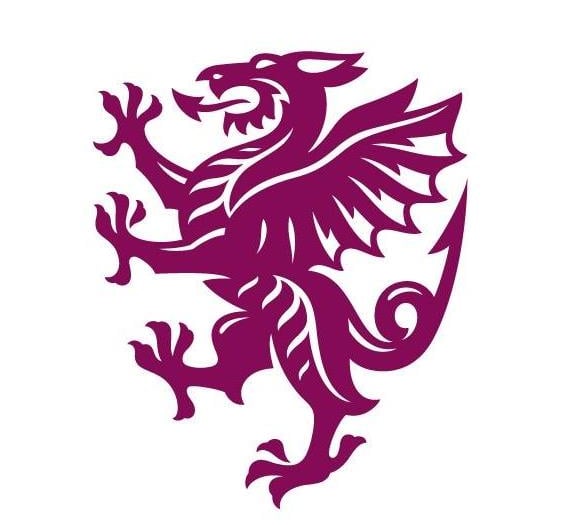 Somerset sign Black Caps seamer