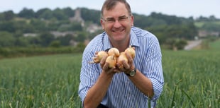 Ginsters to launch an exclusive 'Sow Your Own Slice' service 