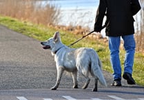 Looe dog walking site plans approved