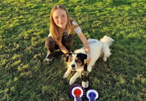Maisie and Denis to compete at Crufts